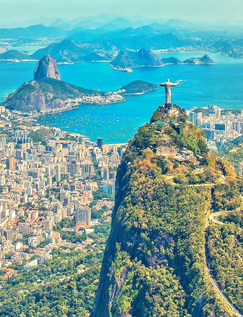 exame-htlv-1-e-2-anticorpos - Apostas no Brasil