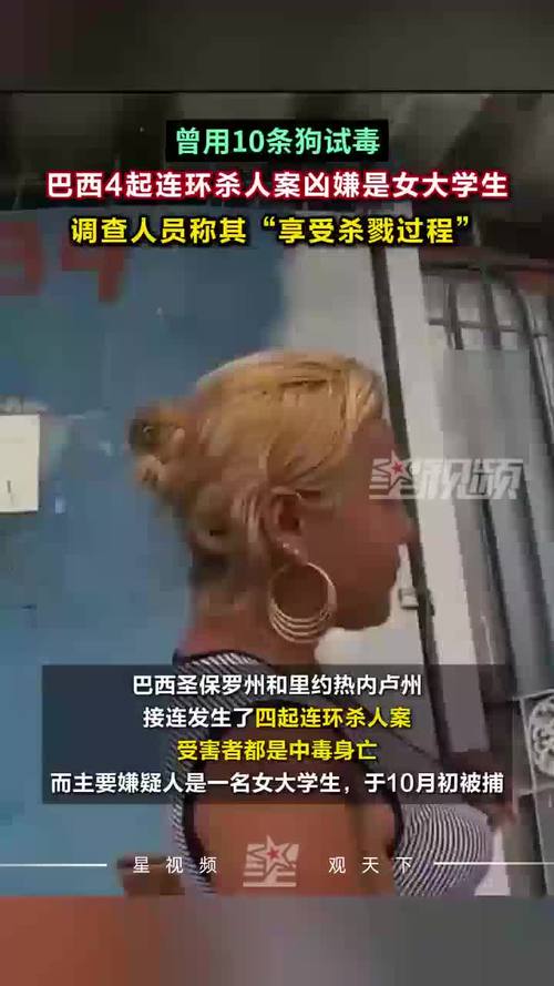 plataforma-fake - Cassinos e iGaming no Brasil